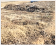  2024Ÿ27736  ͻ ȸ ۻ긮 335-2      (1)