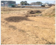  2024Ÿ27736  ͻ ȸ ۻ긮 335-2      (1)