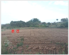  2024Ÿ3457  ͻ ϵ 374-9       (1)