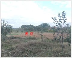  2024Ÿ3457  ͻ ϵ 374-9       (1)