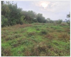  2024Ÿ3457  ͻ ϵ 374-9       (1)