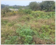  2024Ÿ3457  ͻ ϵ 374-9       (1)