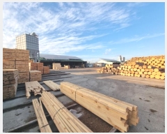  2024Ÿ��3570 ���� ����� ��ϵ� 1464       ������