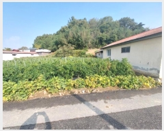  2024Ÿ3600    ְ 295-4      ()