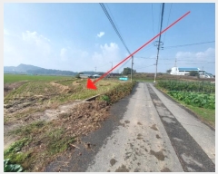  2024Ÿ3600    ְ 295-4      ()