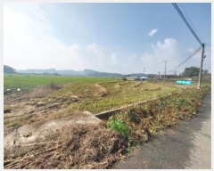  2024Ÿ3600    ְ 295-4      ()