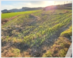  2024Ÿ3600    ְ 295-4      ()