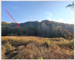  2024Ÿ3648    244-2       ()