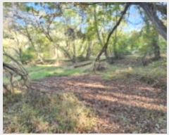  2024Ÿ3648    244-2       ()