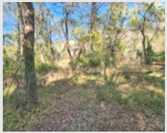  2024Ÿ3648    244-2       ()