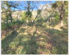  2024Ÿ3648    244-2       ()