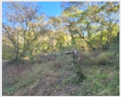  2024Ÿ3648    244-2       ()