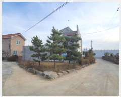  2024Ÿ��3785  ���ð��