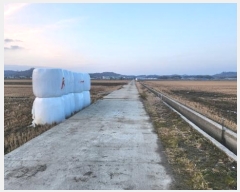  2024Ÿ��4054 ���� ����� ȸ���� �ݱ��� 1886      ����(��)���