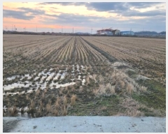  2024Ÿ��4054 ���� ����� ȸ���� �ݱ��� 1886      ����(��)���