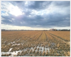  2024Ÿ��4054 ���� ����� ȸ���� �ݱ��� 1886      ����(��)���