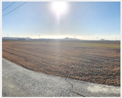  2024Ÿ4207   ϵ 2680-1       ()