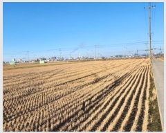  2024Ÿ4207   ϵ 2680-1       ()