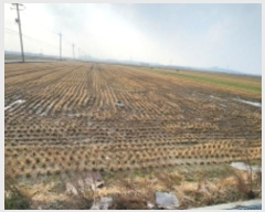  2024Ÿ4207   ϵ 2680-1       ()