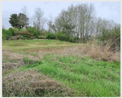  2024Ÿ21936  ͻ Ȳ ̸ 232-1      (1)