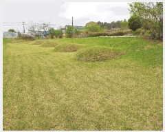  2024Ÿ21936  ͻ Ȳ ̸ 232-1      (1)