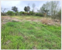  2024Ÿ21936  ͻ Ȳ ̸ 232-1      (1)