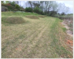  2024Ÿ21936  ͻ Ȳ ̸ 232-1      (1)