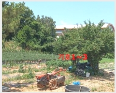  2024Ÿ22984  ͻ  370-13       (1)