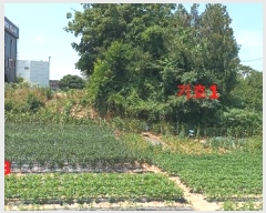  2024Ÿ22984  ͻ  370-13       (1)