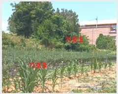  2024Ÿ22984  ͻ  370-13       (1)