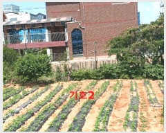  2024Ÿ22984  ͻ  370-13       (1)