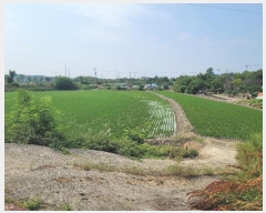  2024Ÿ��23338 ���� ����� ��ϵ� 431-7       ����(��)���