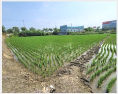  2024Ÿ��23338 ���� ����� ��ϵ� 431-7       ����(��)���