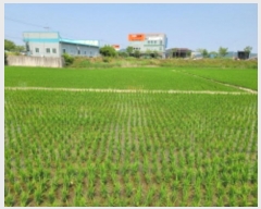  2024Ÿ��23338 ���� ����� ��ϵ� 431-7       ����(��)���