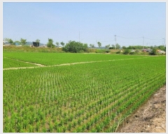  2024Ÿ��23338 ���� ����� ��ϵ� 431-7       ����(��)���