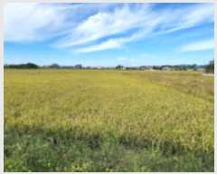  2024Ÿ26122   ϵ 791-11       ()