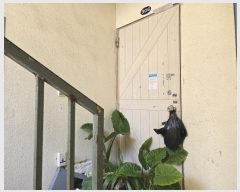  2024Ÿ27019   ż1 27,  3 306ȣ (,)   Ʈ