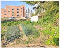  2024Ÿ27125  ͻ 굿 213-16       ()