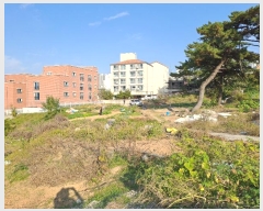  2024Ÿ27125  ͻ 굿 213-16       ()