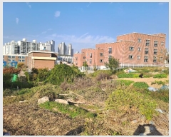  2024Ÿ27125  ͻ 굿 213-16       ()