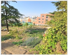  2024Ÿ27125  ͻ 굿 213-16       ()