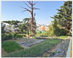  2024Ÿ27125  ͻ 굿 213-16       ()