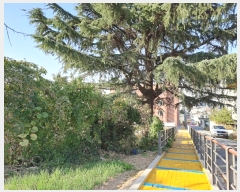  2024Ÿ27125  ͻ 굿 213-16       ()