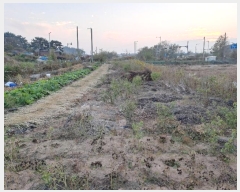  2024Ÿ27309     211-12      (1)