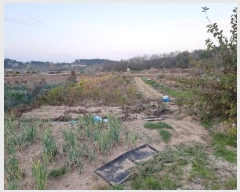  2024Ÿ27309     211-12      (1)