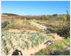  2024Ÿ27309     211-12      (1)