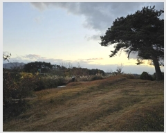  2024Ÿ��27439 ���� �ͻ�� ����� ��㸮 330-13      ����(�Ӿ�)���