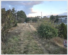  2024Ÿ��27439 ���� �ͻ�� ����� ��㸮 330-13      ����(�Ӿ�)���