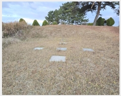  2024Ÿ��27439 ���� �ͻ�� ����� ��㸮 330-13      ����(�Ӿ�)���