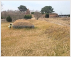  2024Ÿ��27439 ���� �ͻ�� ����� ��㸮 330-13      ����(�Ӿ�)���